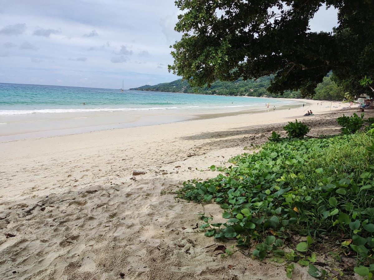 Riverside Mount Simpson - Seychelles Island Beau Vallon  Eksteriør bilde